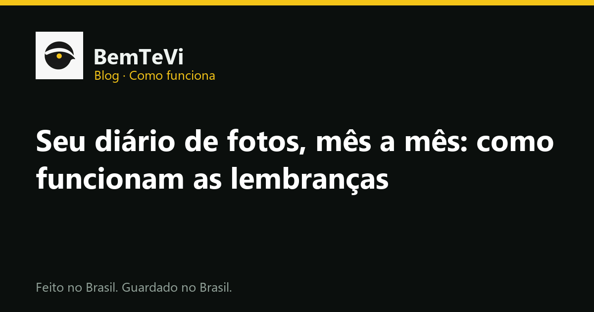 Diário de fotos do BemTeVi com lembranças mês a mês